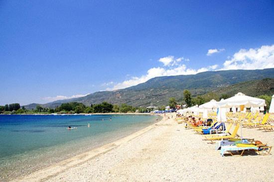 Near Paradise Villa Koropi Dış mekan fotoğraf